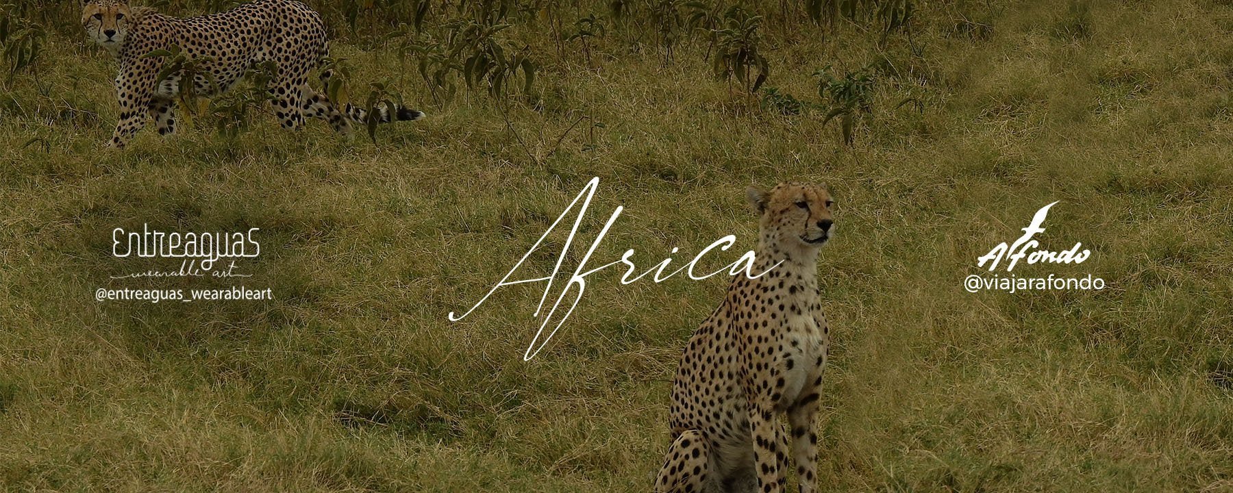 Africa… you’re magic - Entreaguas Wearable Art